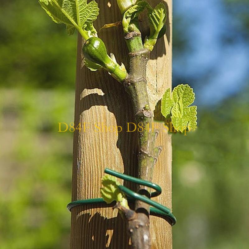 Garden Wire Twist Tie - D84F 2,5 mm x 10 m