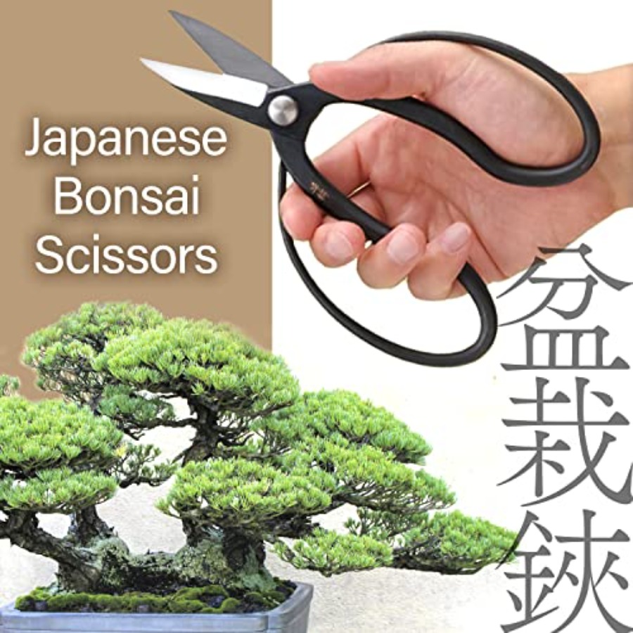 Tesoura Japonesa Suiryu para B - Gardening Tools Made In Japan avaliação e preço